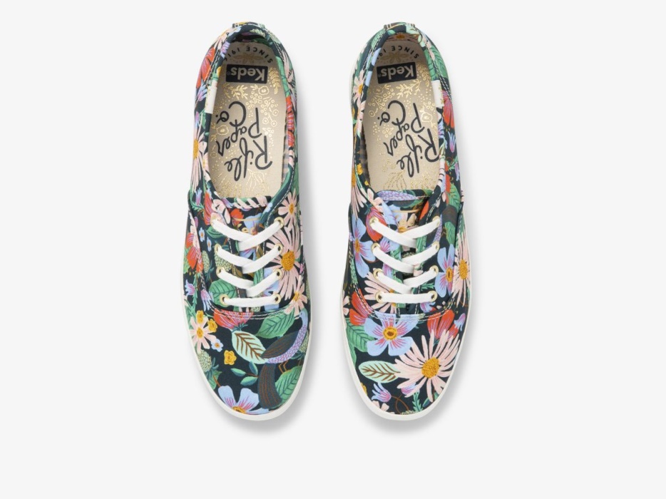 Keds Dames X Rifle Paper Co. Kampioen Duiventil Marine Multi
